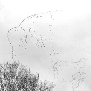 evento 4 exposicion monaña vasca FOTO @tripaazul