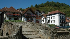 Ochgavia Pirineo Navarro